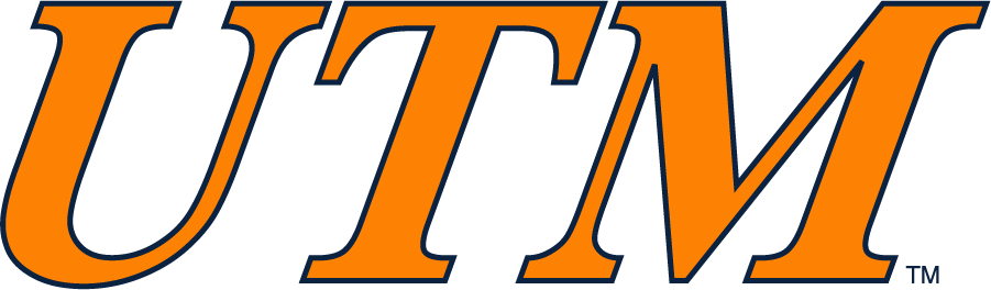 Tennessee-Martin Skyhawks 2007-2017 Wordmark Logo diy DTF decal sticker